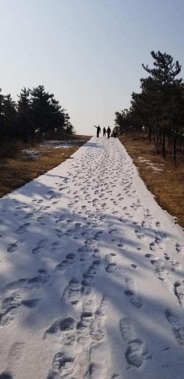 心理阴影怎么消除，东莞比较好的心理专家？