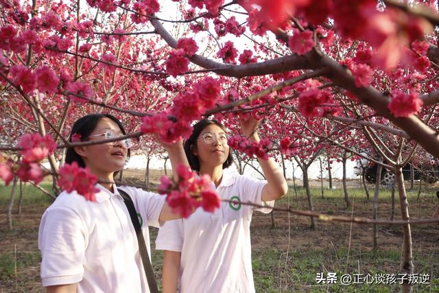 东莞青春期孩子叛逆早恋厌学怎么办，东莞青春期孩子叛逆早恋厌学怎么办观后感？